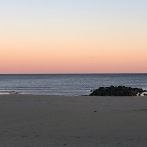 Meet your Posher, Dorey